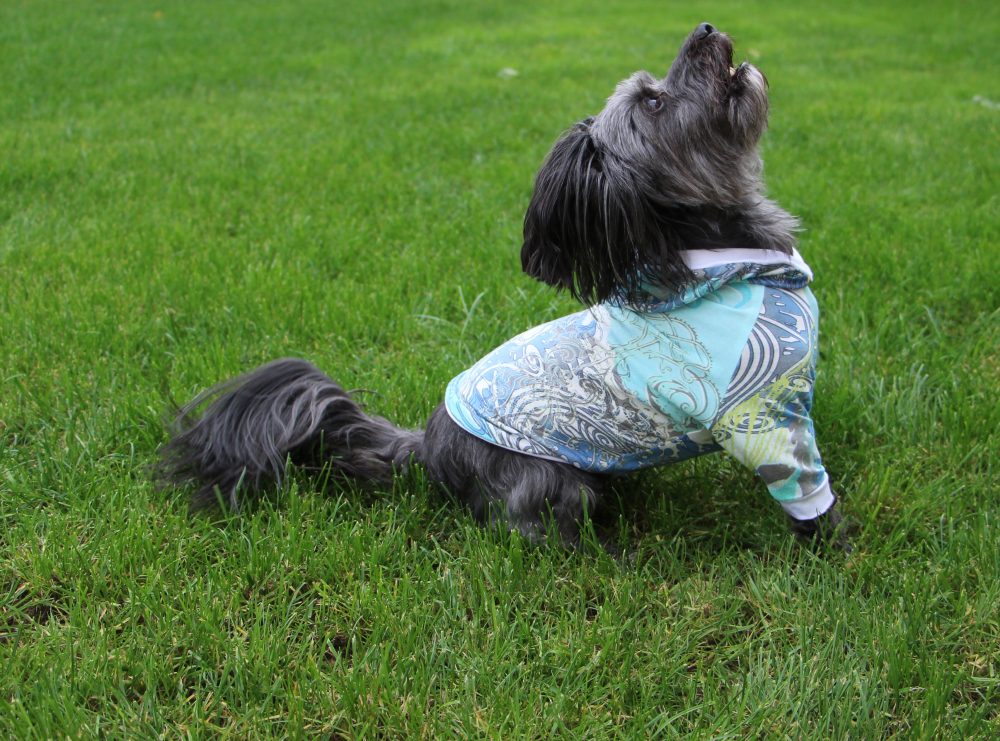 The Tailoress PDF Sewing Patterns - Toby Jersey Raglan Sleeve Jumper Toby Jersey Raglan Sleeve Jumper - The Tailoress PDF Sewing Patterns