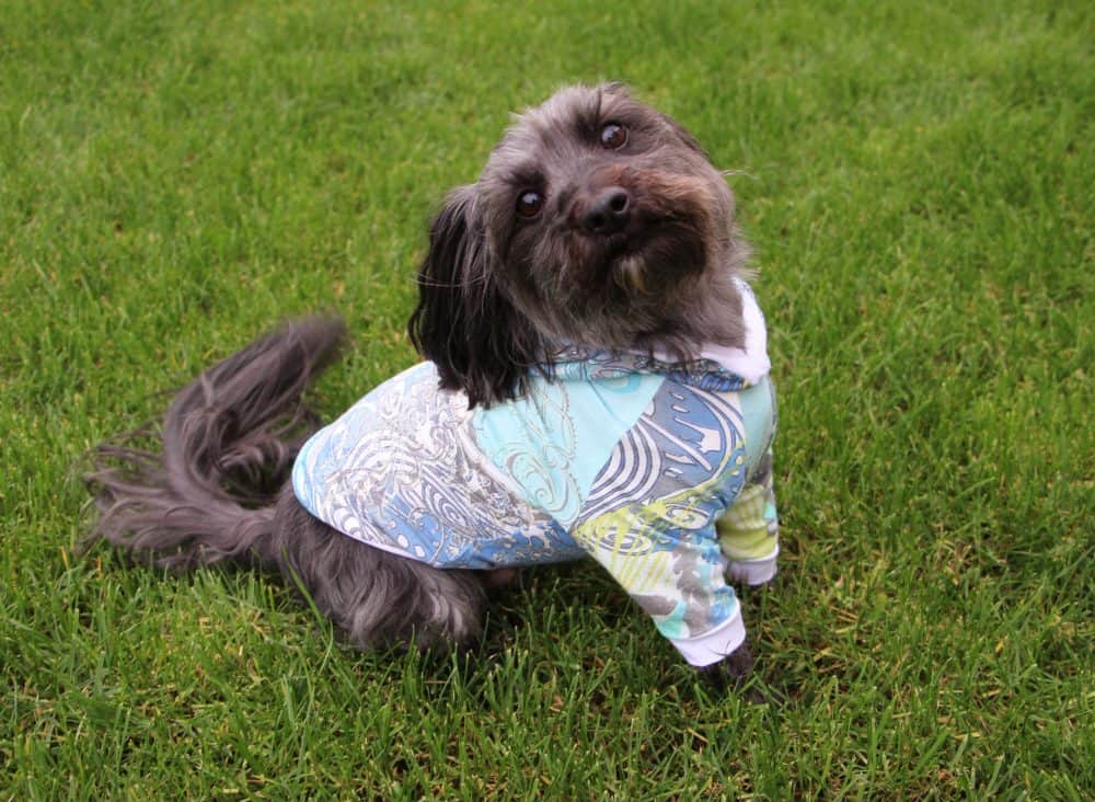 The Tailoress PDF Sewing Patterns - Toby Jersey Raglan Sleeve Jumper Toby Jersey Raglan Sleeve Jumper - The Tailoress PDF Sewing Patterns