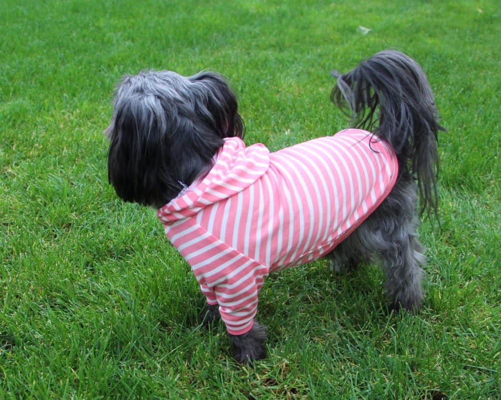 The Tailoress PDF Sewing Patterns - Toby Jersey Raglan Sleeve Jumper Toby Jersey Raglan Sleeve Jumper - The Tailoress PDF Sewing Patterns