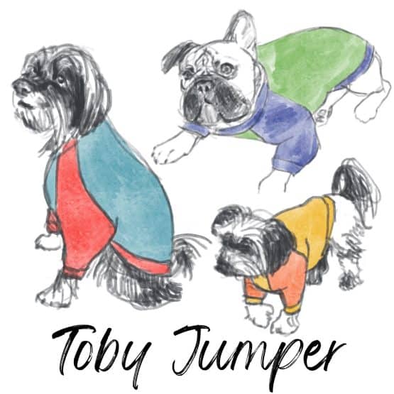 Toby Jersey Raglan Sleeve Jumper - The Tailoress PDF Sewing Patterns