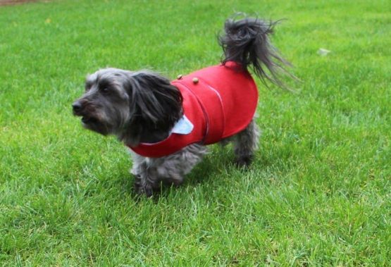 Jasper Jacket for Dogs PDF Sewing Pattern - The Tailoress PDF Sewing Patterns