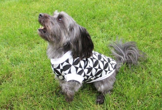 Jasra Tee for Dogs PDF Sewing Pattern - The Tailoress PDF Sewing Patterns
