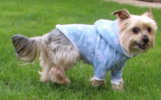 18 Sizes Dog Sweater PDF Pattern - Fido Jumper - The Tailoress PDF Sewing Patterns