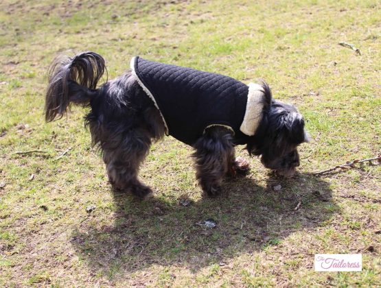 Timmy Gilet for Dogs PDF Sewing Pattern - The Tailoress PDF Sewing Patterns