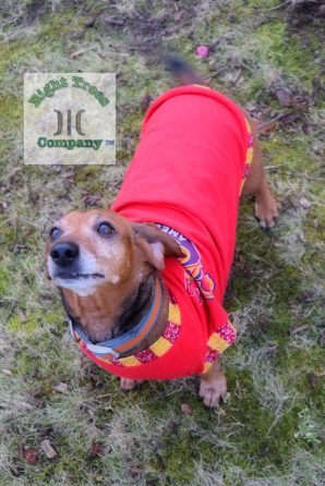 The Tailoress PDF Sewing Patterns - New Jasra Tee for Dachshunds by Eight Trees Company