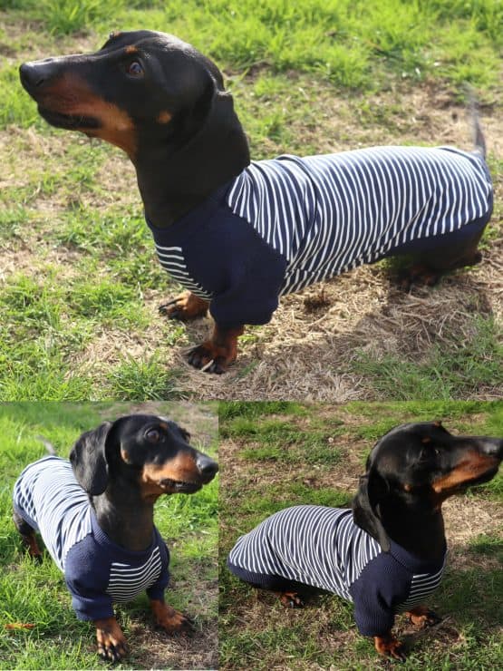 5 Sizes Dachshunds Clothes Sewing Pattern - Toby Jersey Raglan Sleeve Jumper - The Tailoress PDF Sewing Patterns